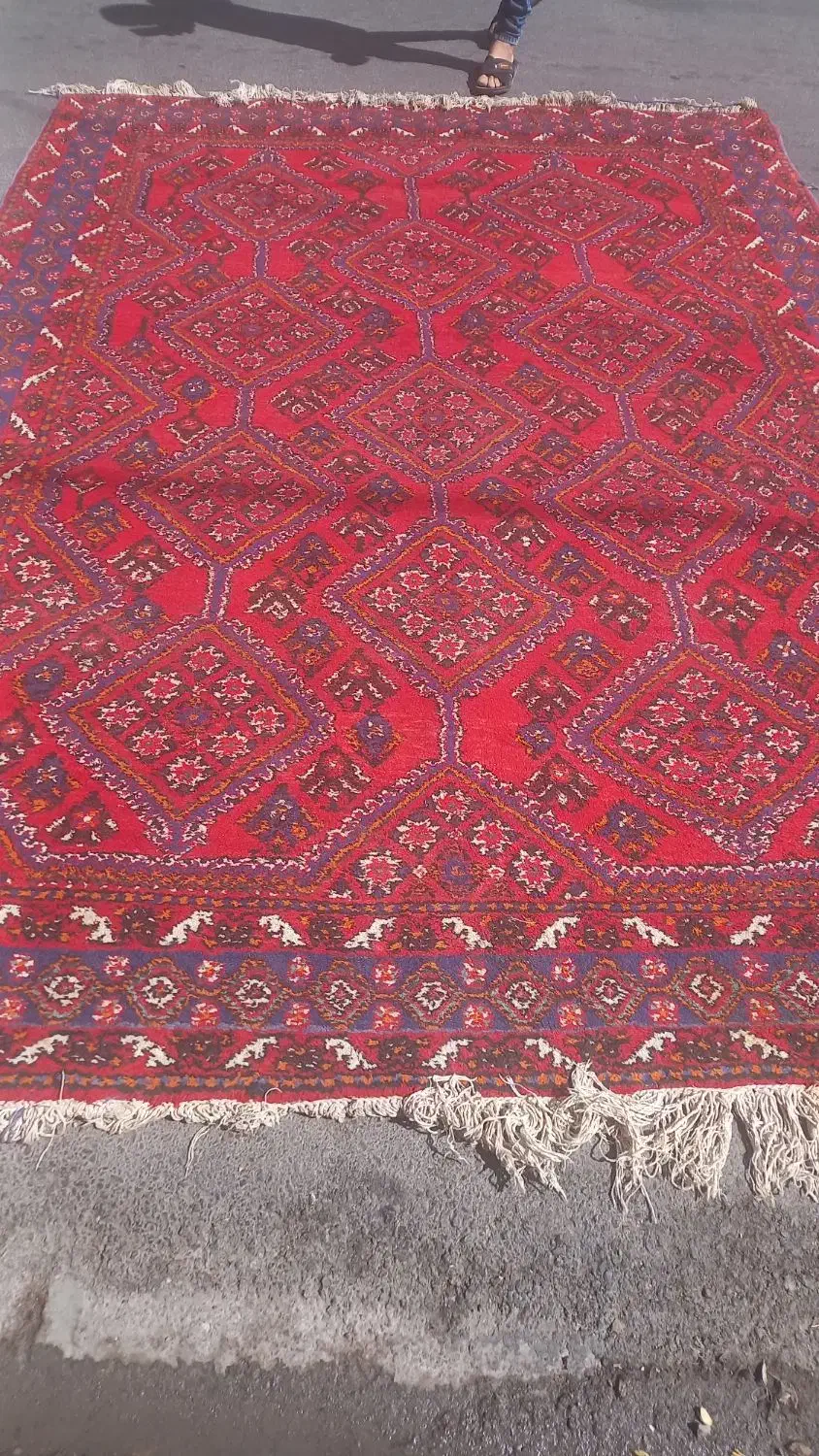 فرش دستبافت پشمی|فرش|شیراز, شهرک فرهنگیان|دیوار