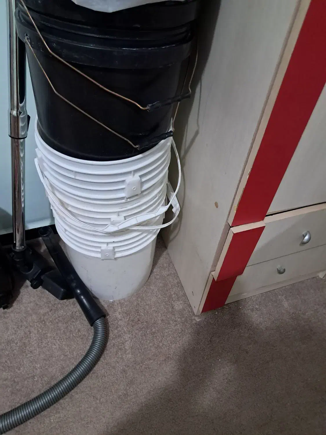 سطلهای ده کیلویی|ظروف نگهدارنده، پلاستیکی، یکبارمصرف|اندیمشک, |دیوار