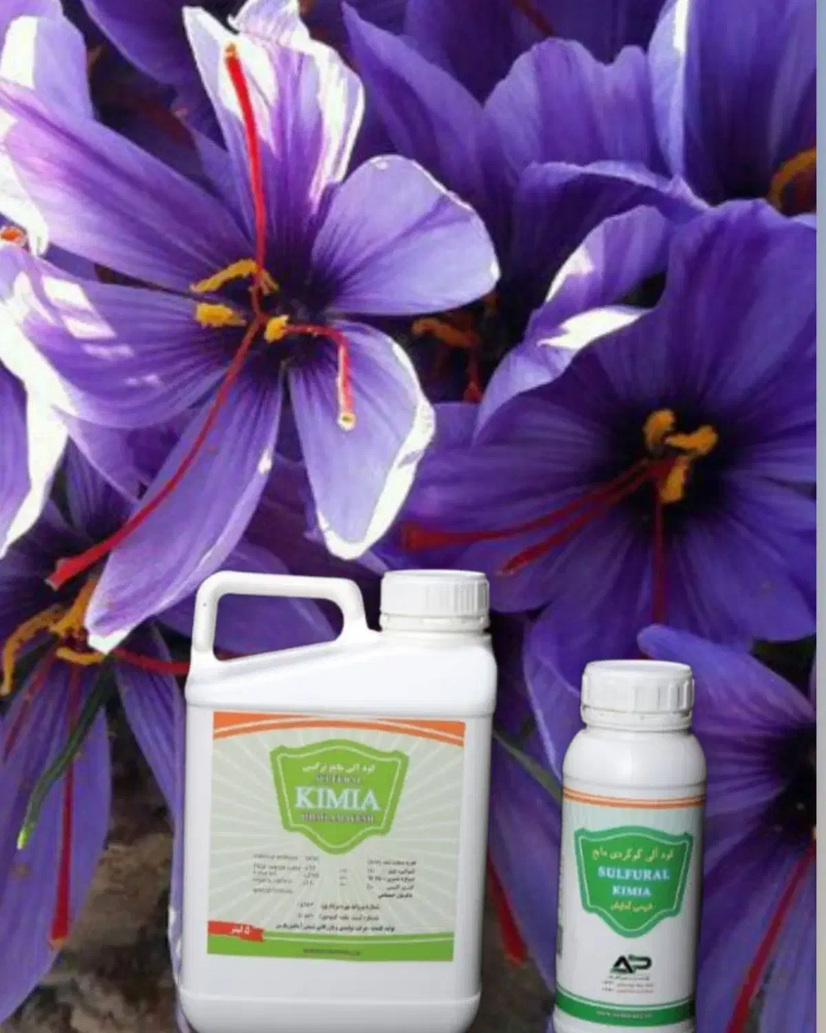 بهترین کود شیمیایی|خدمات باغبانی و درختکاری|مشهد, فرهنگ|دیوار