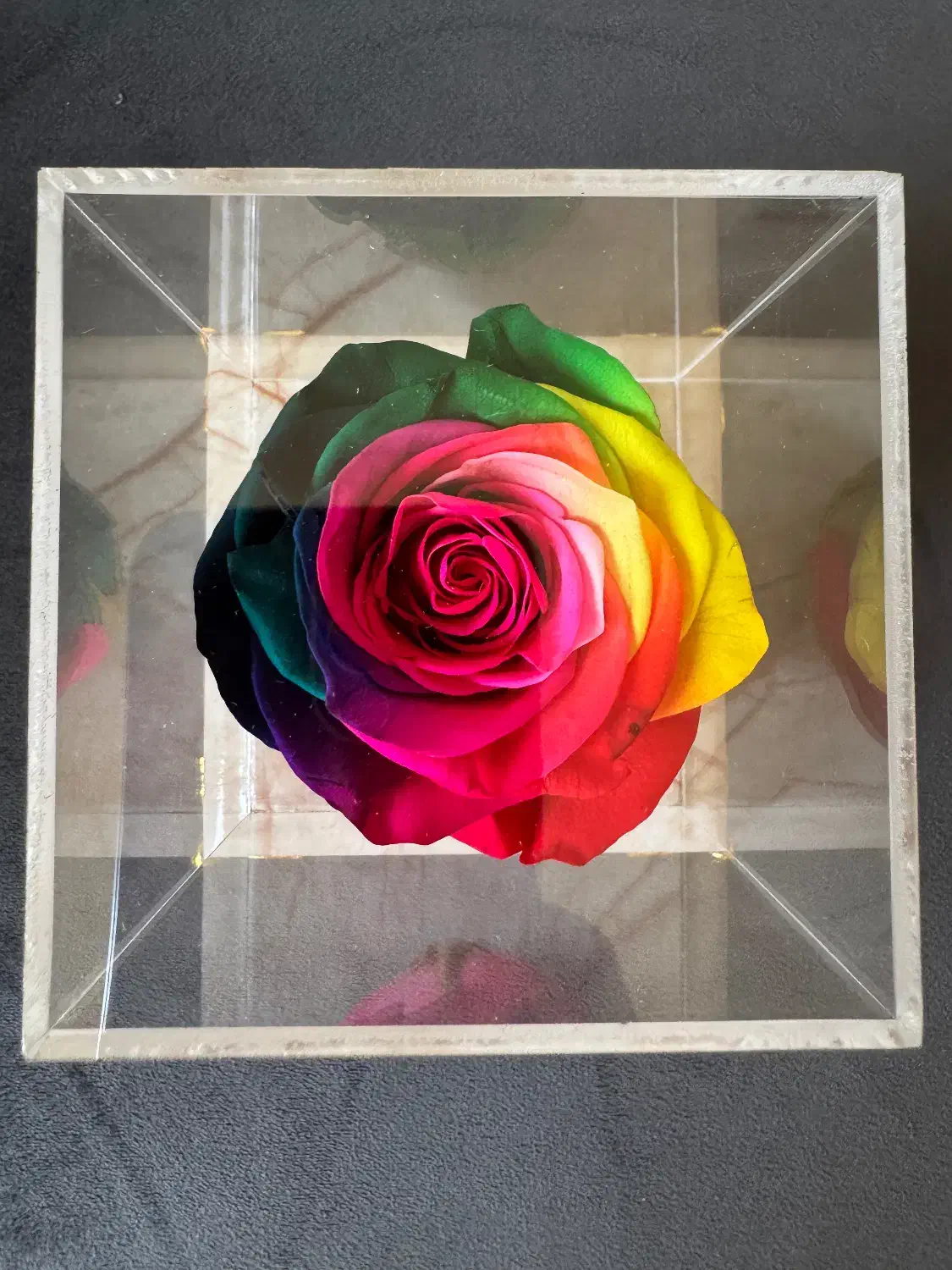 کادو رز طبیعی جاودان با ماندگاری بیش از  ۵سال|صنایع دستی و سایر لوازم تزئینی|شیراز, معالیآباد|دیوار