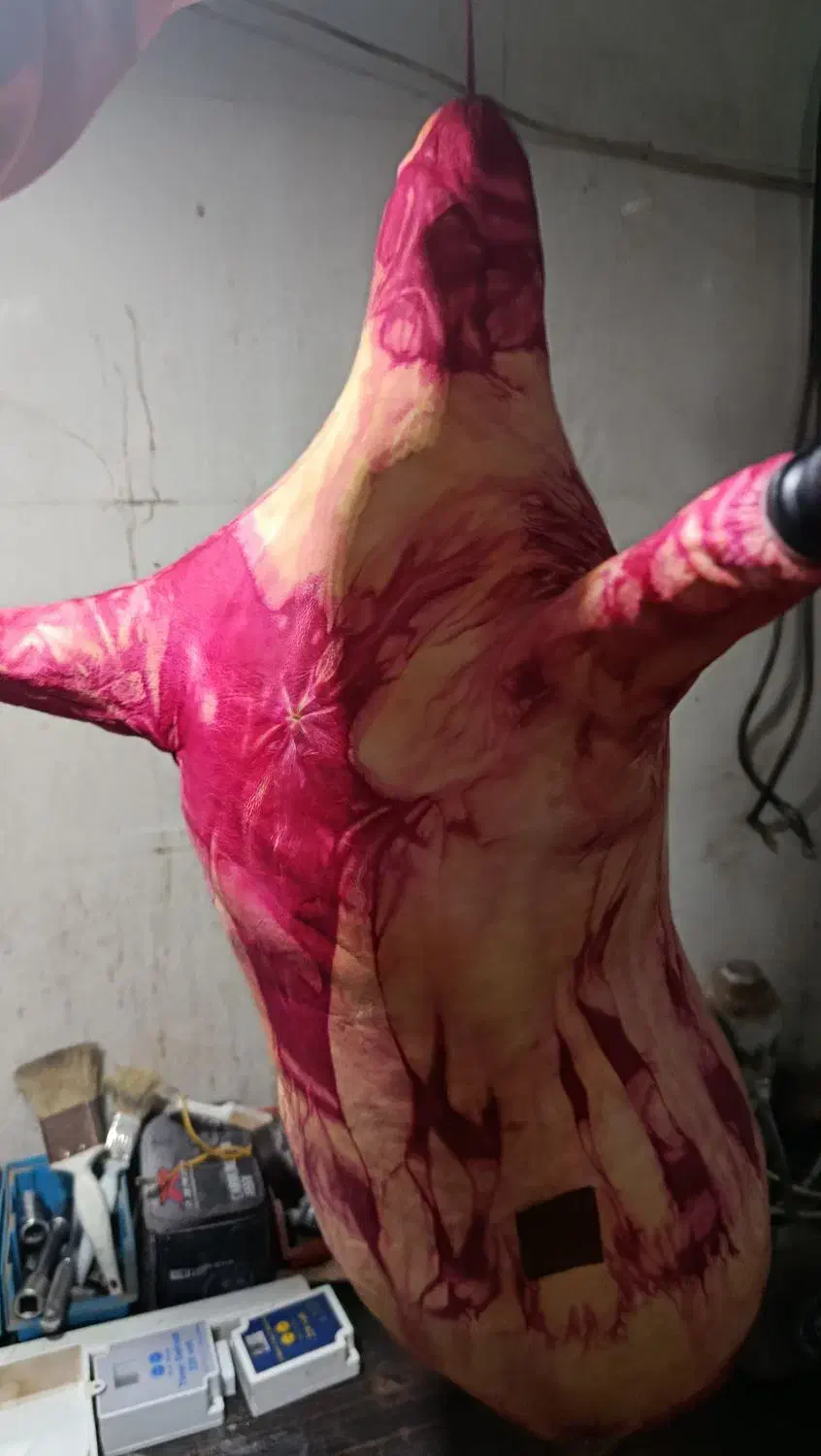 نی انبان|سازهای سنتی|برازجان, |دیوار