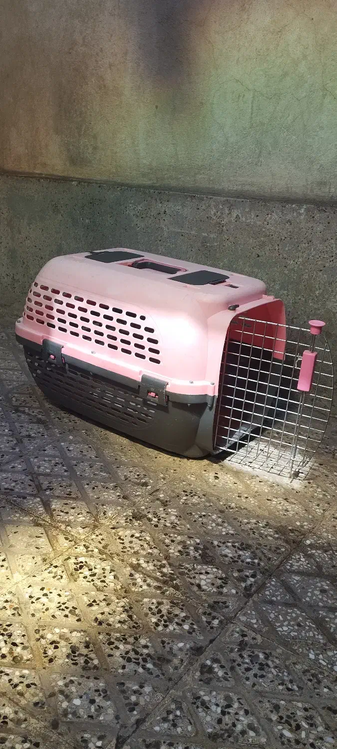 باکس حیوان خانگی|لوازم جانبی حیوانات|تهران, بازار|دیوار