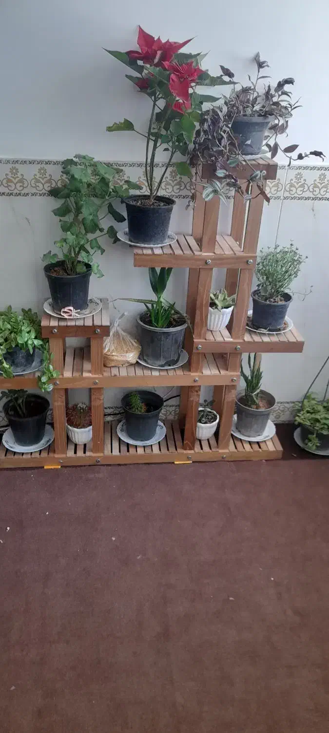 ویترین-میزغذاخوری۶نفره-استندگل|میز و صندلی غذاخوری|بوئین زهرا, |دیوار