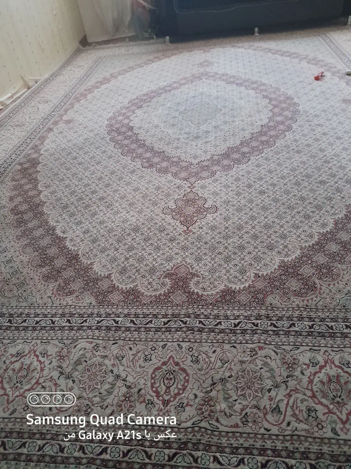 فرش ۱۲ متری|فرش|مشهد, شهید آوینی|دیوار