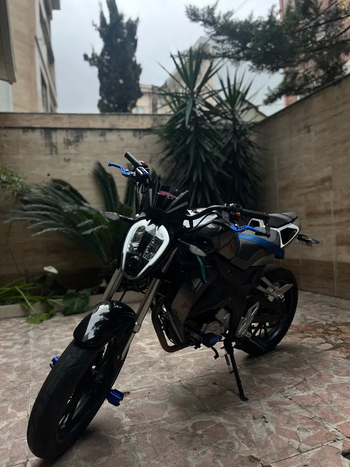 بلنتا r225|موتورسیکلت|رشت, کاکتوس|دیوار