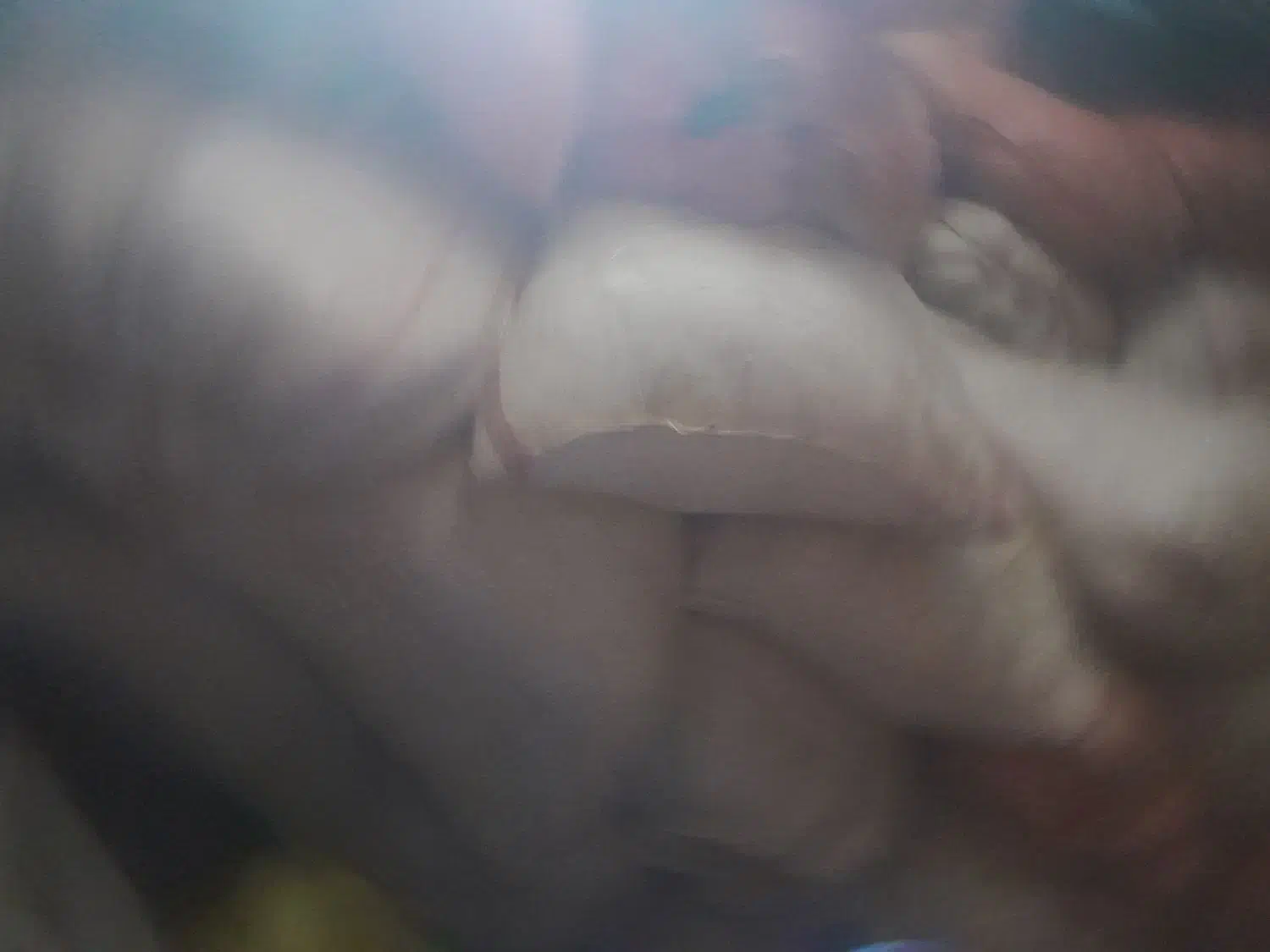 ۲تن. کاه گرگرودرجه یک|عمدهفروشی|سیروان, |دیوار