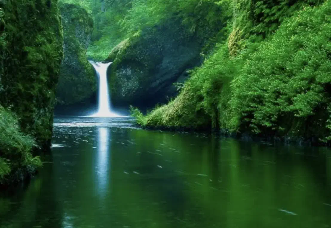 مسافرت دسته جمعی|فعالیت داوطلبانه تحقیقاتی|زنجان, |دیوار