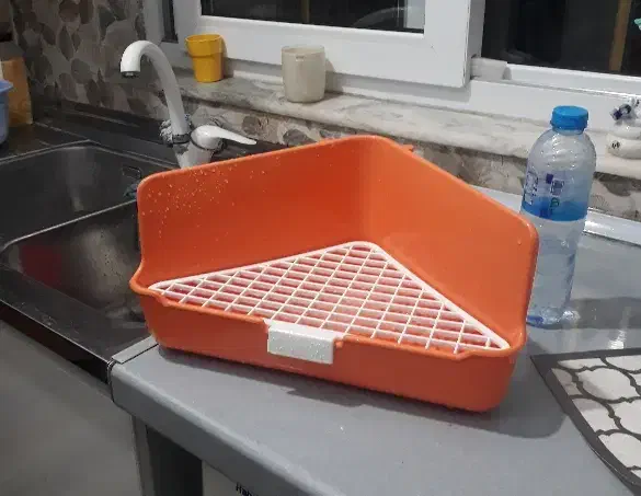 توالت/دستشویی/ظرف ادرار خرگوش|موش و خرگوش|فومن, |دیوار