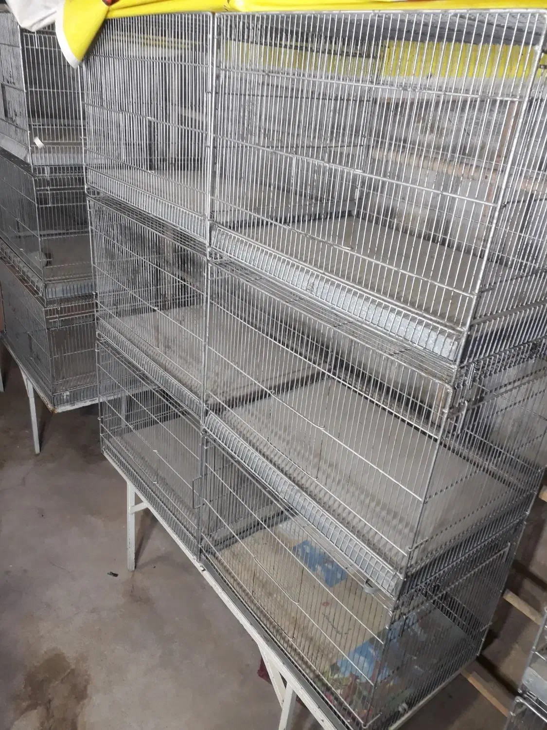 قفس ۶ خان‌ و ۹ خان غلامی،گنجه چوبی و آبدونی|لوازم جانبی حیوانات|قم, ناصردیوان|دیوار