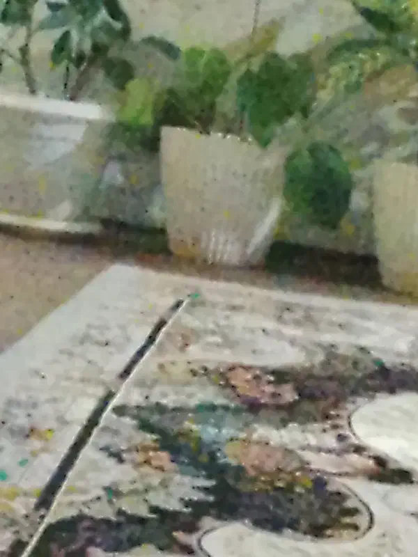 گل و گیاه|گل و گیاه طبیعی|آق قلا, |دیوار