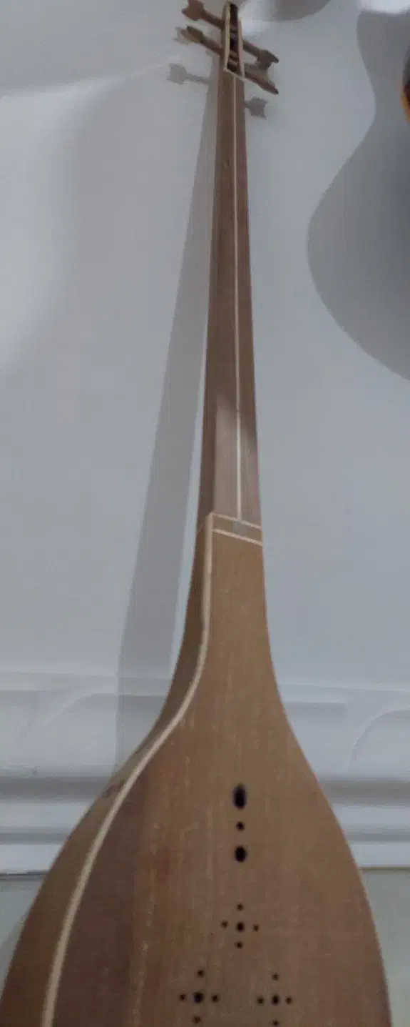 سه‌تار(حرفه ای)و(مبتدی)|سازهای سنتی|بوشهر, |دیوار