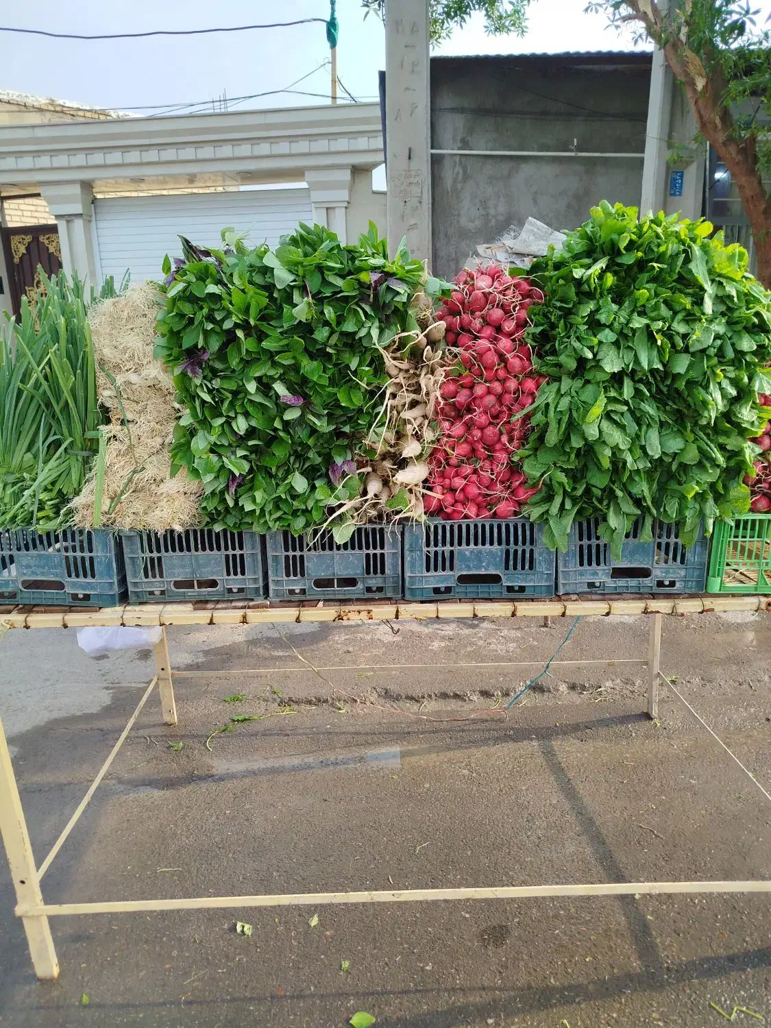 سبزی اصفهان دور میدان فردوسی|خوردنی و آشامیدنی|دهلران, |دیوار