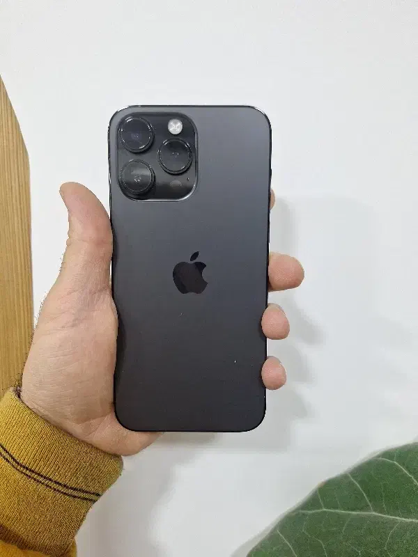 آیفون ۱۴پرو مکس ریجستری شده|موبایل|کرج, رجب‌آباد|دیوار