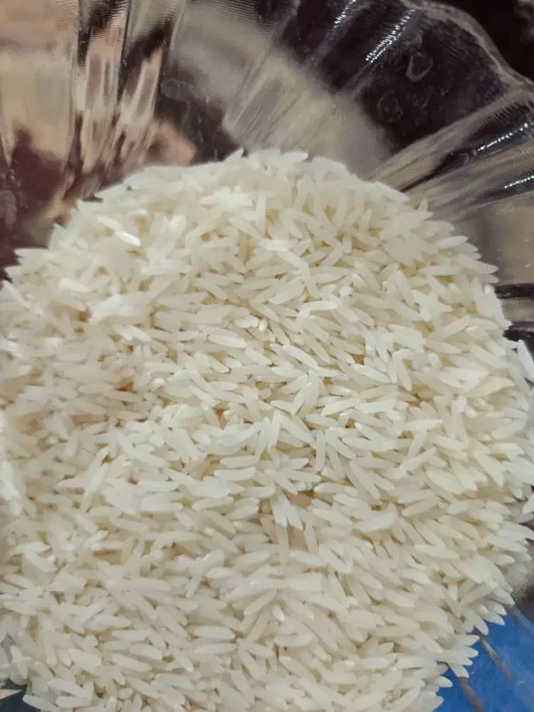 بزنج فجر امسالی خوش عطر|عمدهفروشی|آق قلا, |دیوار