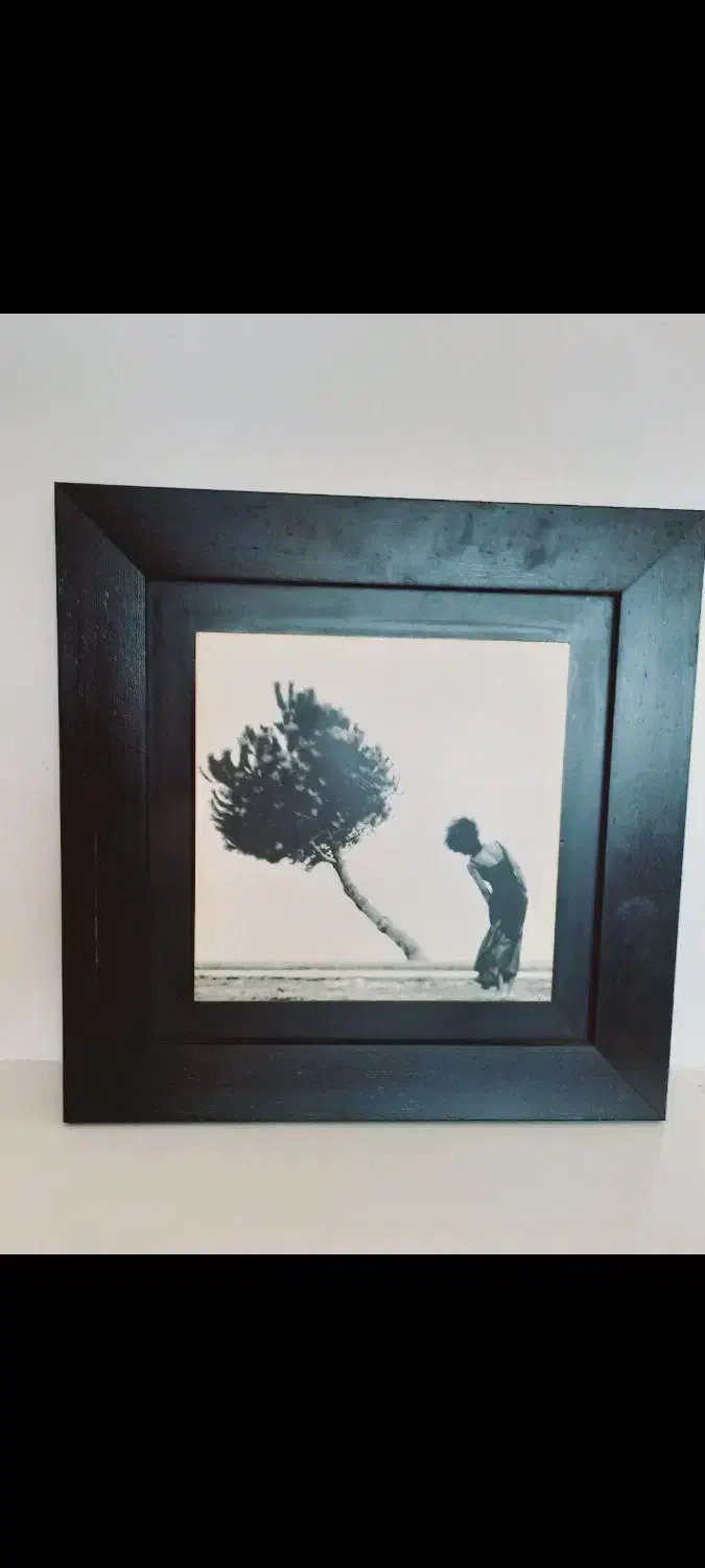 تابلو ۴۵ در ۴۵|حراج|بومهن, |دیوار