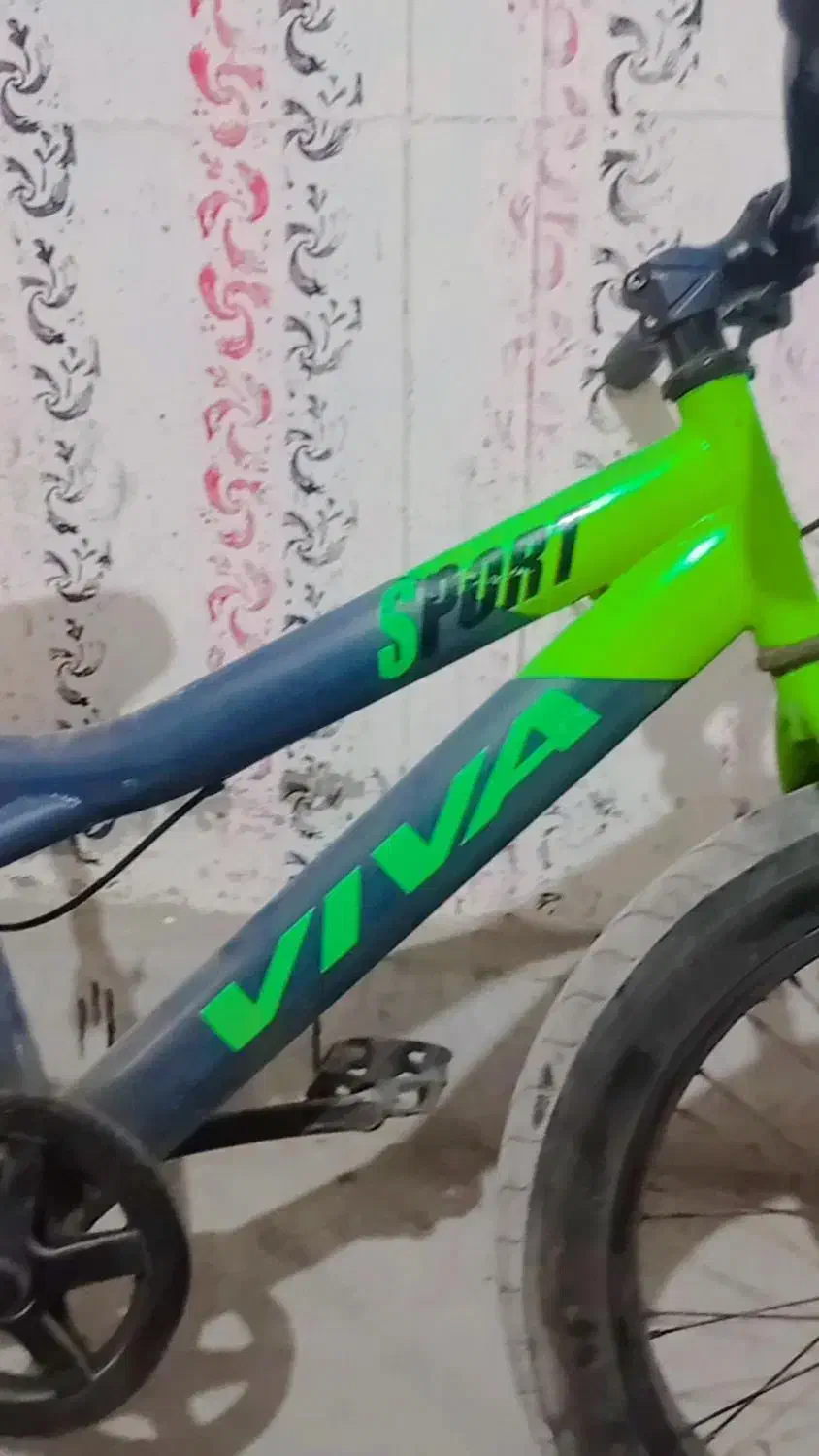 دوچرخه ویوا حرفه ایی کوهستانی|دوچرخه، اسکیت، اسکوتر|بندرعباس, |دیوار