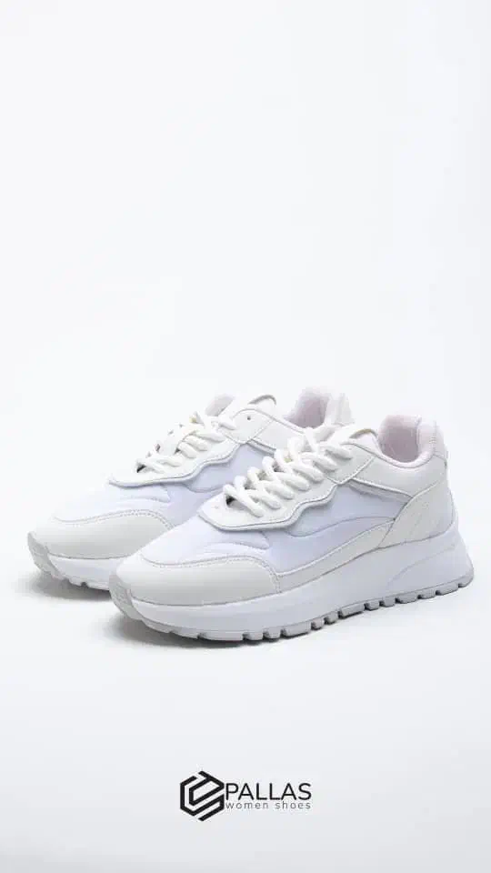 فروش عمده کفش|کیف، کفش، کمربند|سلماس, |دیوار