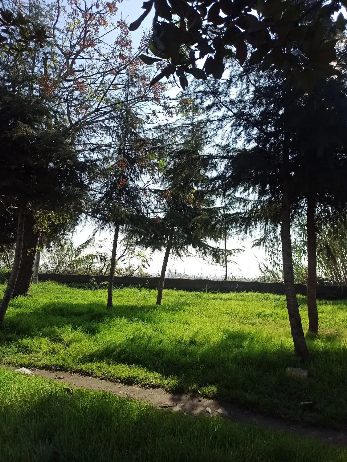 راهنمایی داوطلبانه|فعالیت داوطلبانه|رشت, کوی جام جم|دیوار