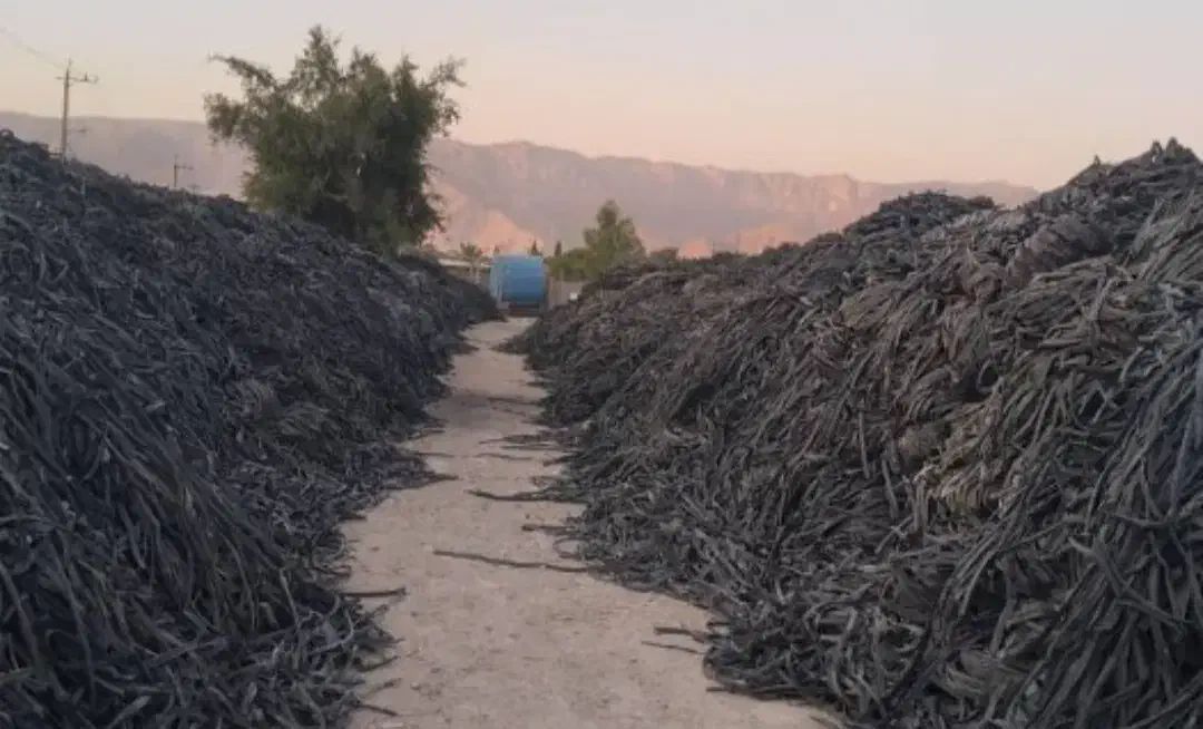 مرکز جمع آوری نوار. تیپ|مصالح و تجهیزات ساختمان|سراب, |دیوار