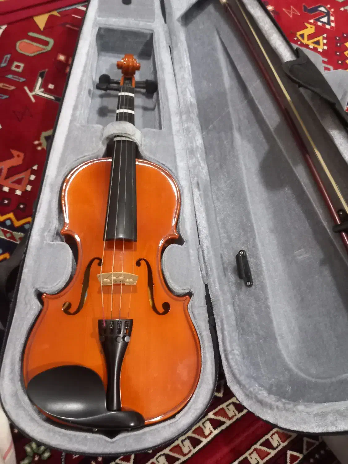 ویالون|ویولن|شیراز, کیان آباد|دیوار