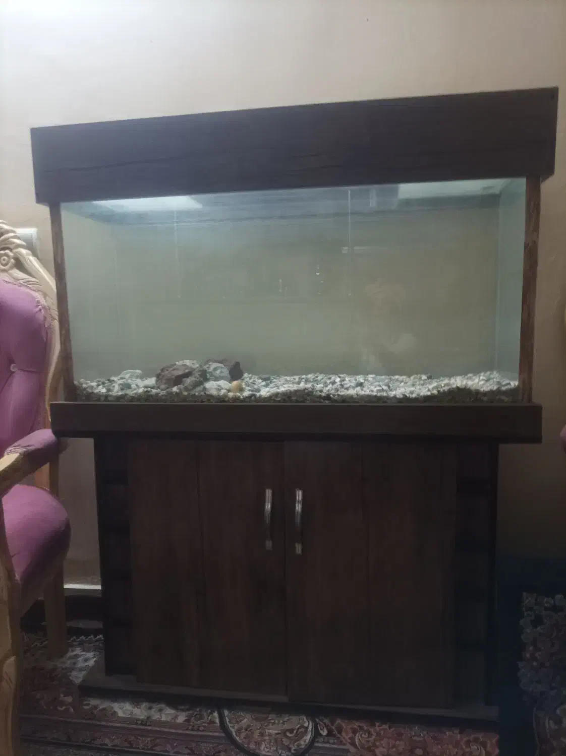 آکواریوم بزرگ|ماهی|پاکدشت, شهرک امام رضا|دیوار