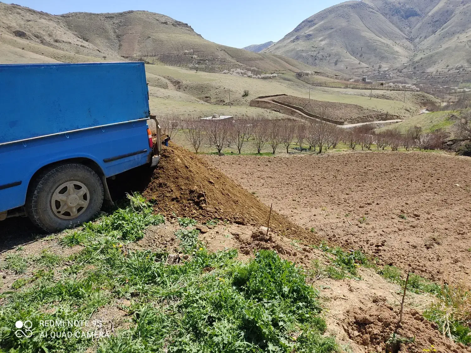 کود حیوانی|خدمات باغبانی و درختکاری|موچش, |دیوار