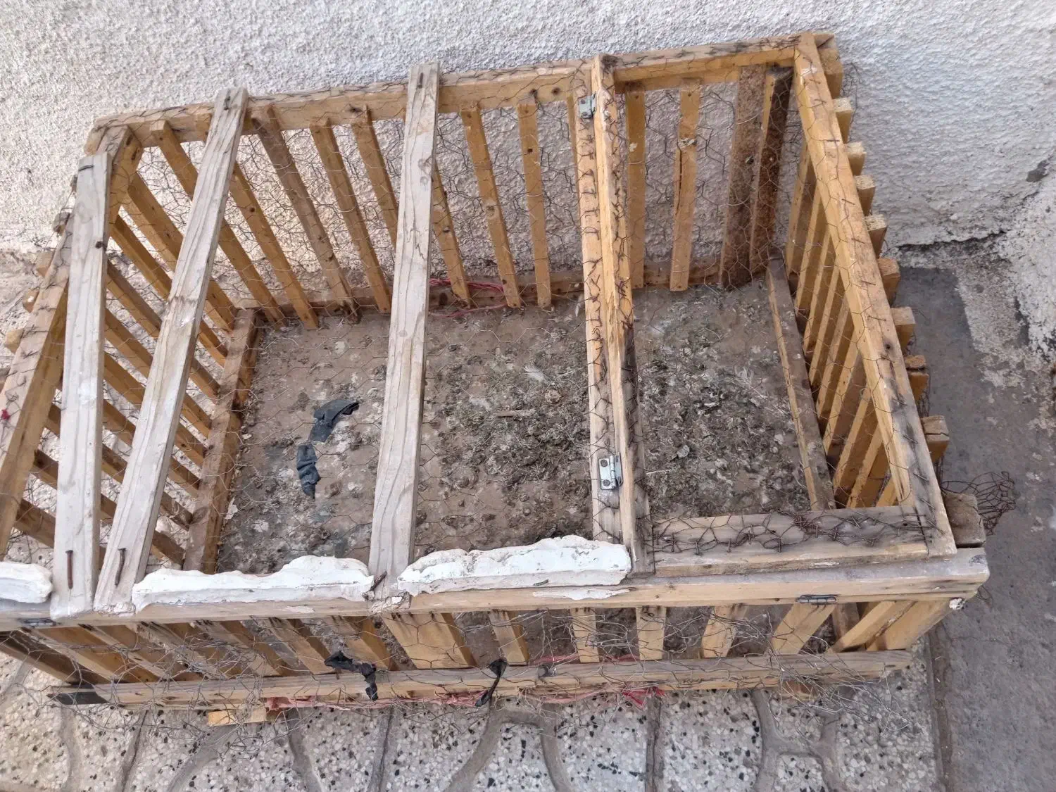 عاقول|پرنده|تربت جام, کشتارگاه|دیوار