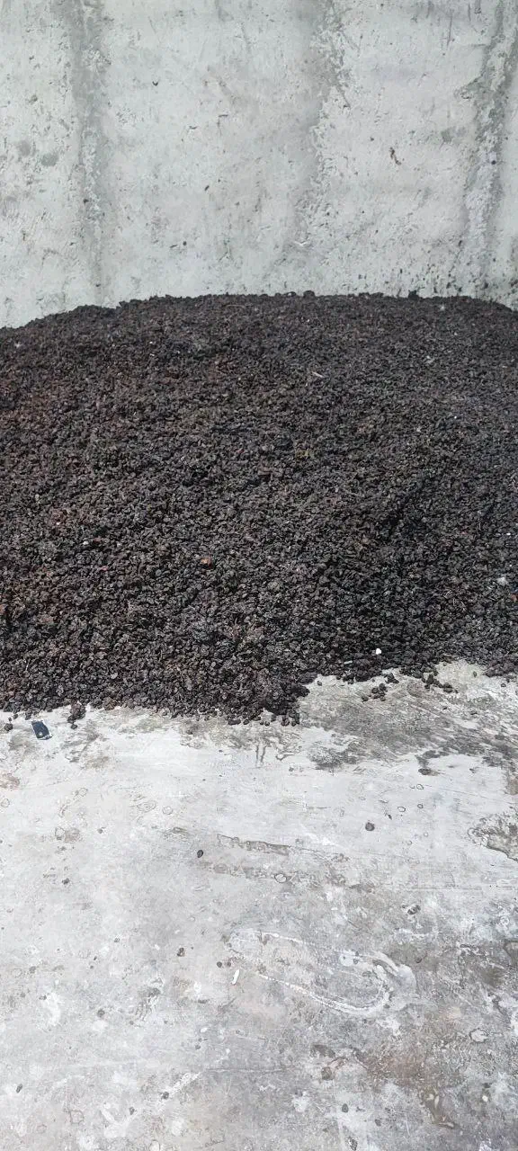 کشمش ابگیری|خوردنی و آشامیدنی|تبریز, |دیوار