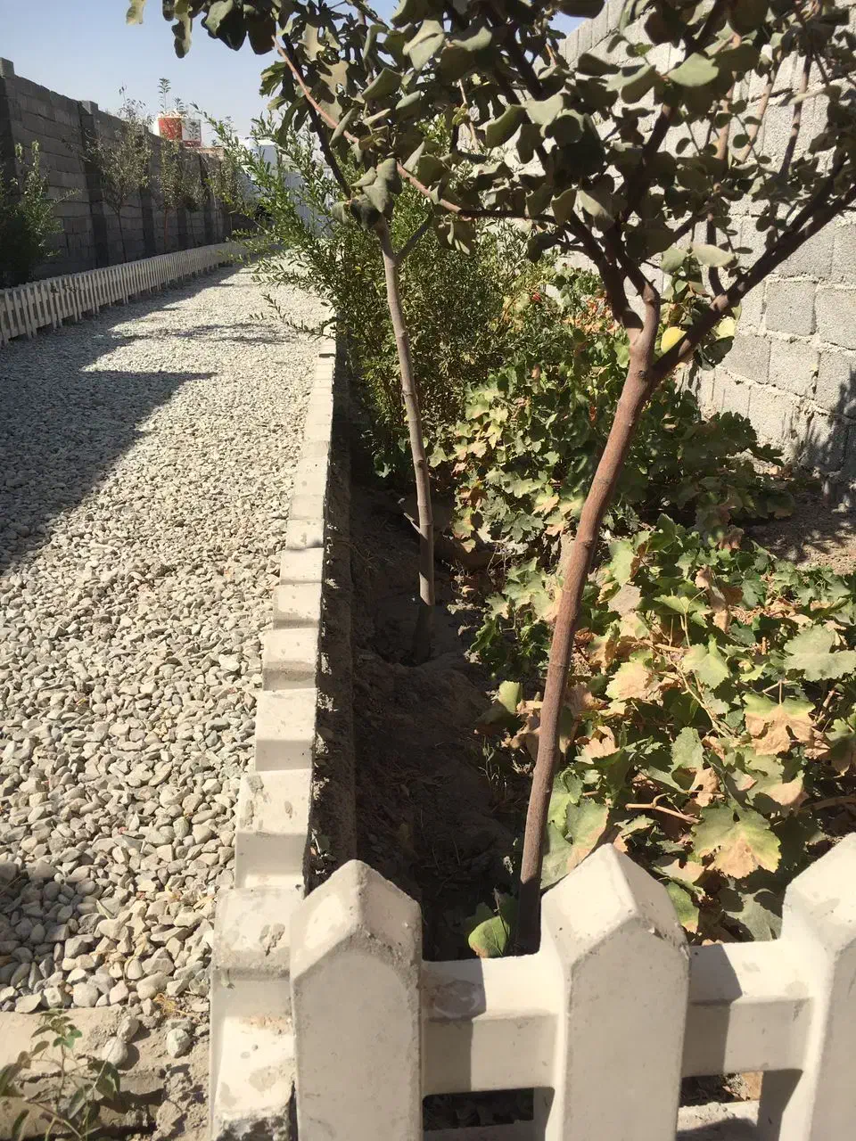 باغچه و باغ معاوضه و تهاتر  با ماشین و..|فروش زمین و ملک کلنگی|رباط‌کریم, انجم آباد|دیوار