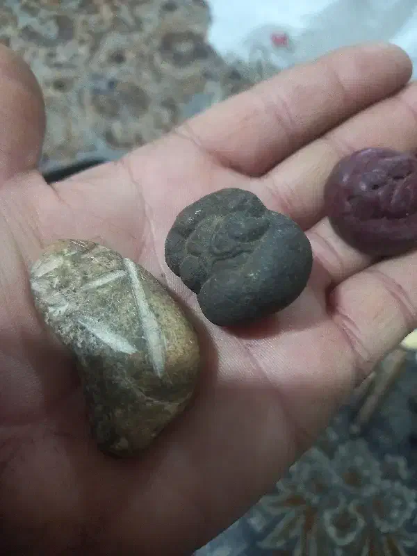 عرج|کلکسیون اشیاء عتیقه|زاهدان, |دیوار