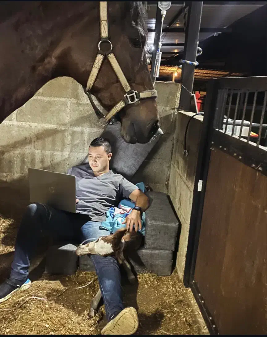 کار در باشگاه اسب سواری|استخدام سرایداری و نظافت|سنندج, |دیوار