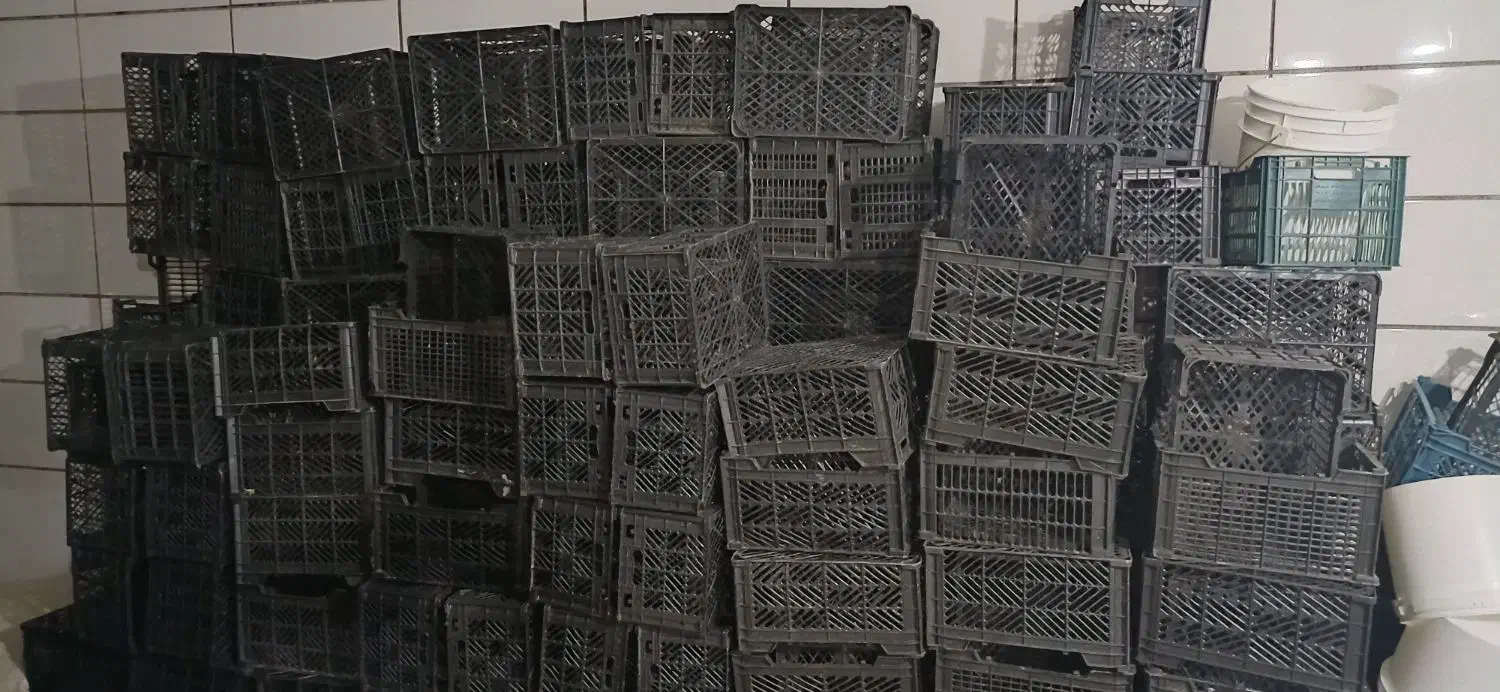 سبد جا میوه|ظروف نگهدارنده، پلاستیکی، یکبارمصرف|بروجرد, |دیوار