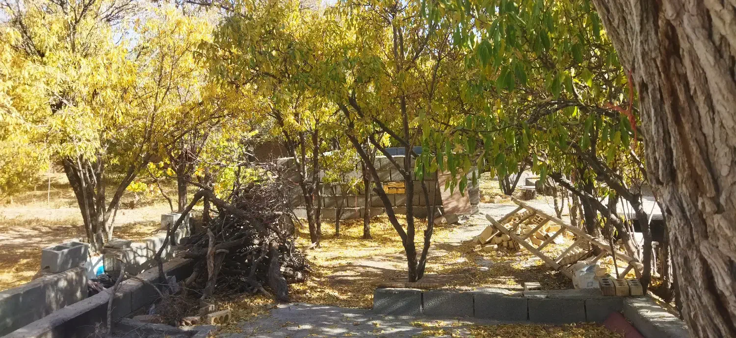 باغ فروشی بهمن|فروش دفتر صنعتی، کشاورزی، تجاری|آباده, |دیوار