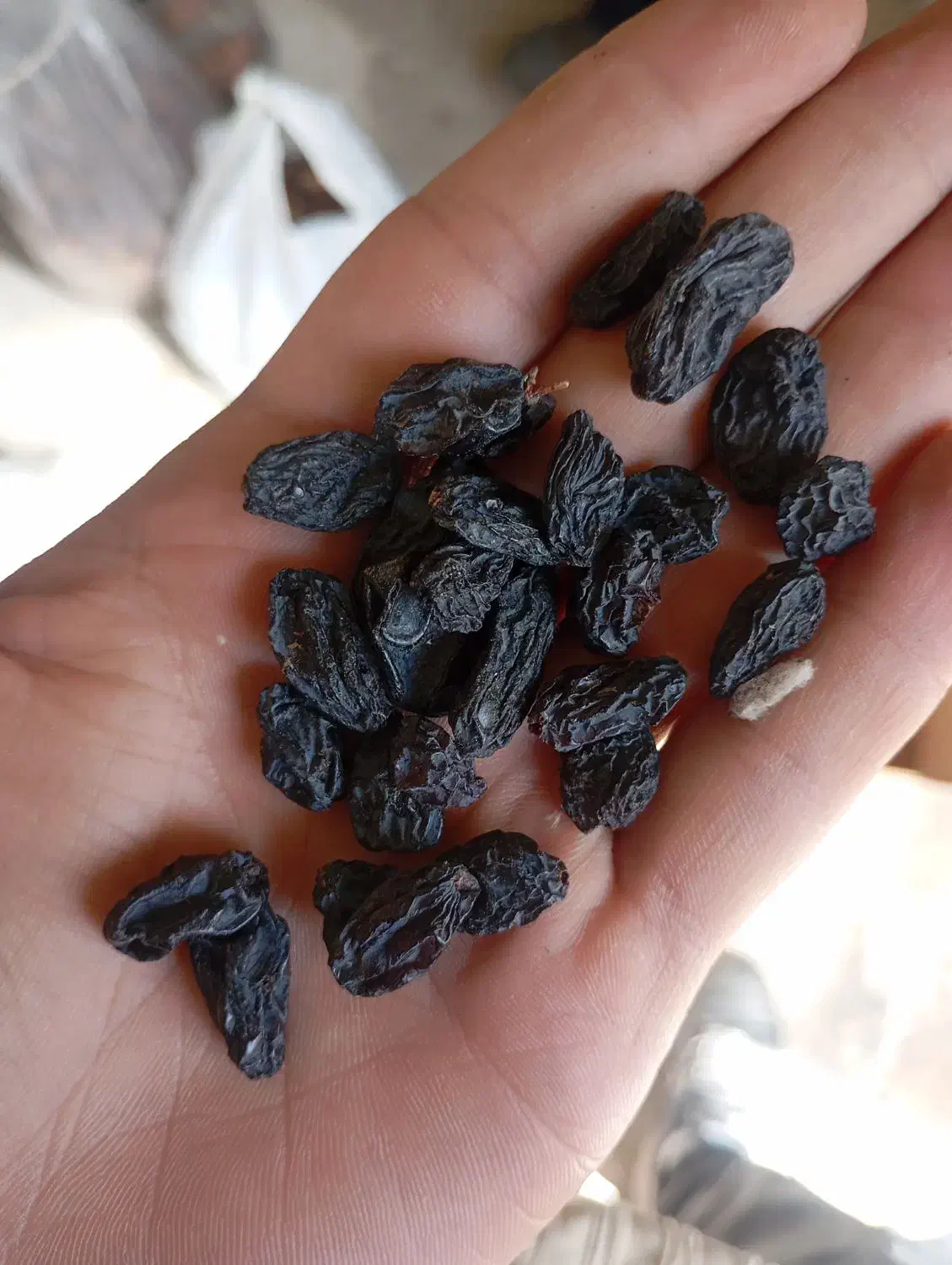 فروش عمده مویز سیاه کردستان دیم.ریز و درشت ۱۴۰۴|خوردنی و آشامیدنی|رودهن, |دیوار