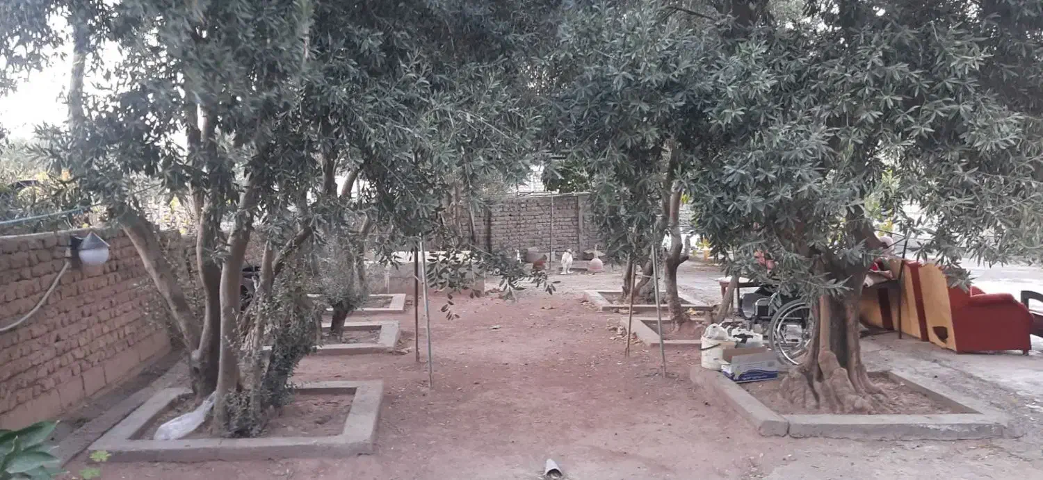 ویلا باغ تازه بازسازی شده لوشان ورودی استان گیلان|فروش خانه و ویلا|لوشان, |دیوار