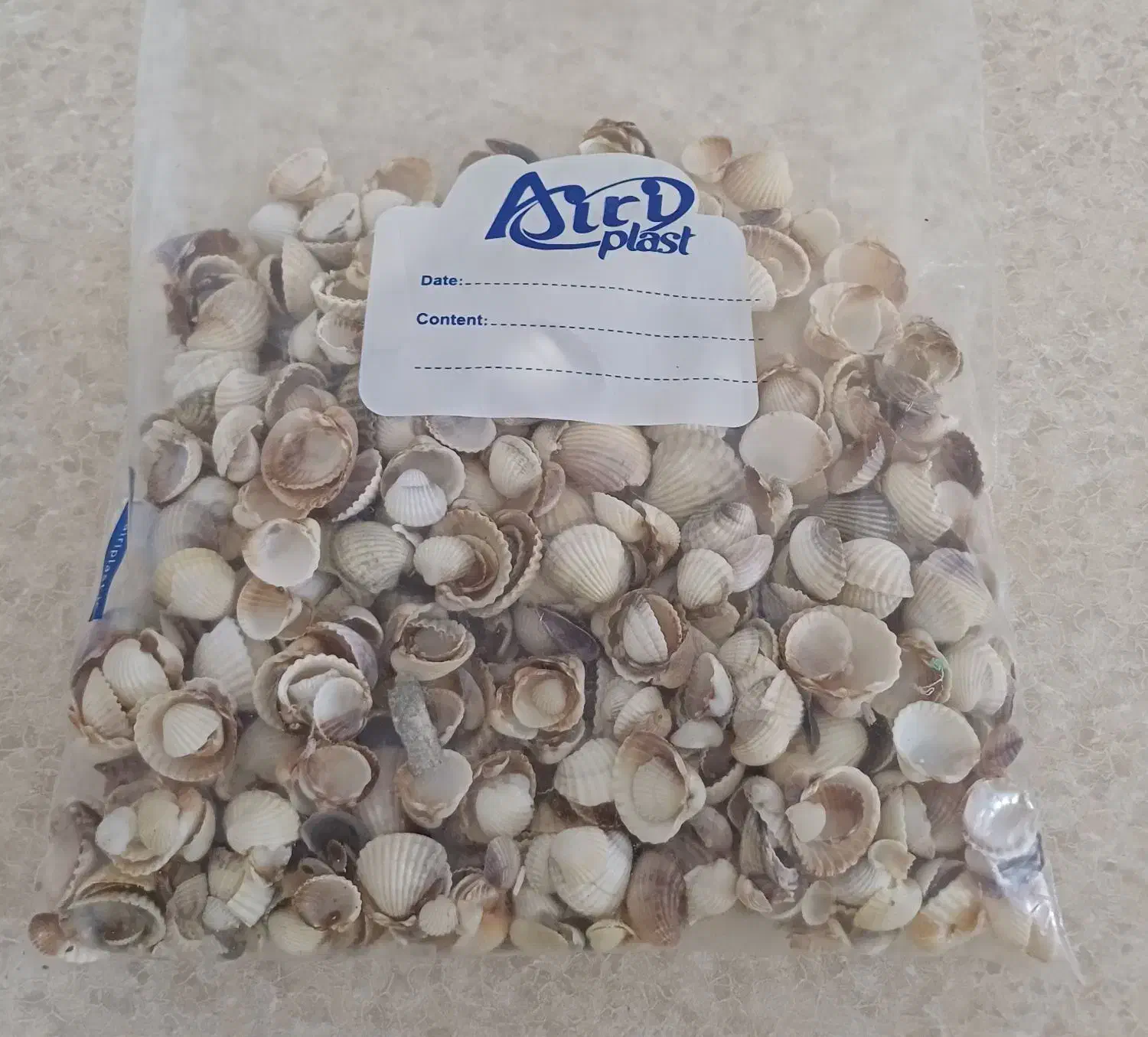 صدف دریایی ریز و درشت 300 گرم|صنایع دستی و سایر لوازم تزئینی|سنندج, |دیوار