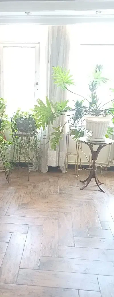 ۱۸۰ متر ۳ خواب / شمال جردن|اجارهٔ آپارتمان|تهران, امانیه|دیوار