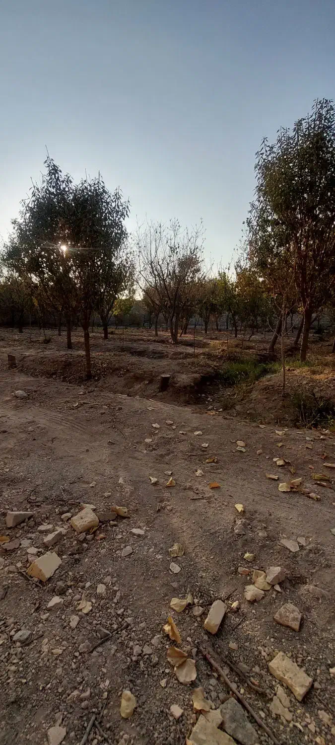 فروش باغ ۲۴۰۰ متر دیوارکشی شده در قهجاورستان|فروش خانه و ویلا|اصفهان, قهجاورستان|دیوار