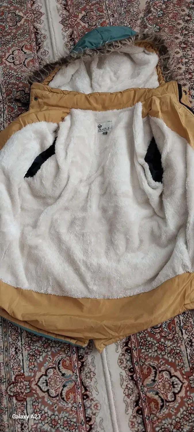 کاپشن|لباس|کرج, چمران|دیوار