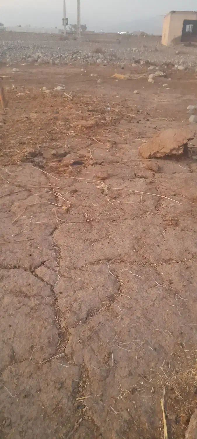 کود گوسفندی|خدمات باغبانی و درختکاری|جیرفت, |دیوار