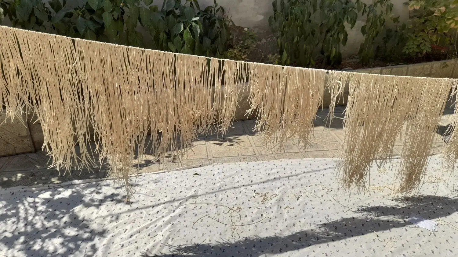 رشته|خوردنی و آشامیدنی|شیروان (خراسان), |دیوار