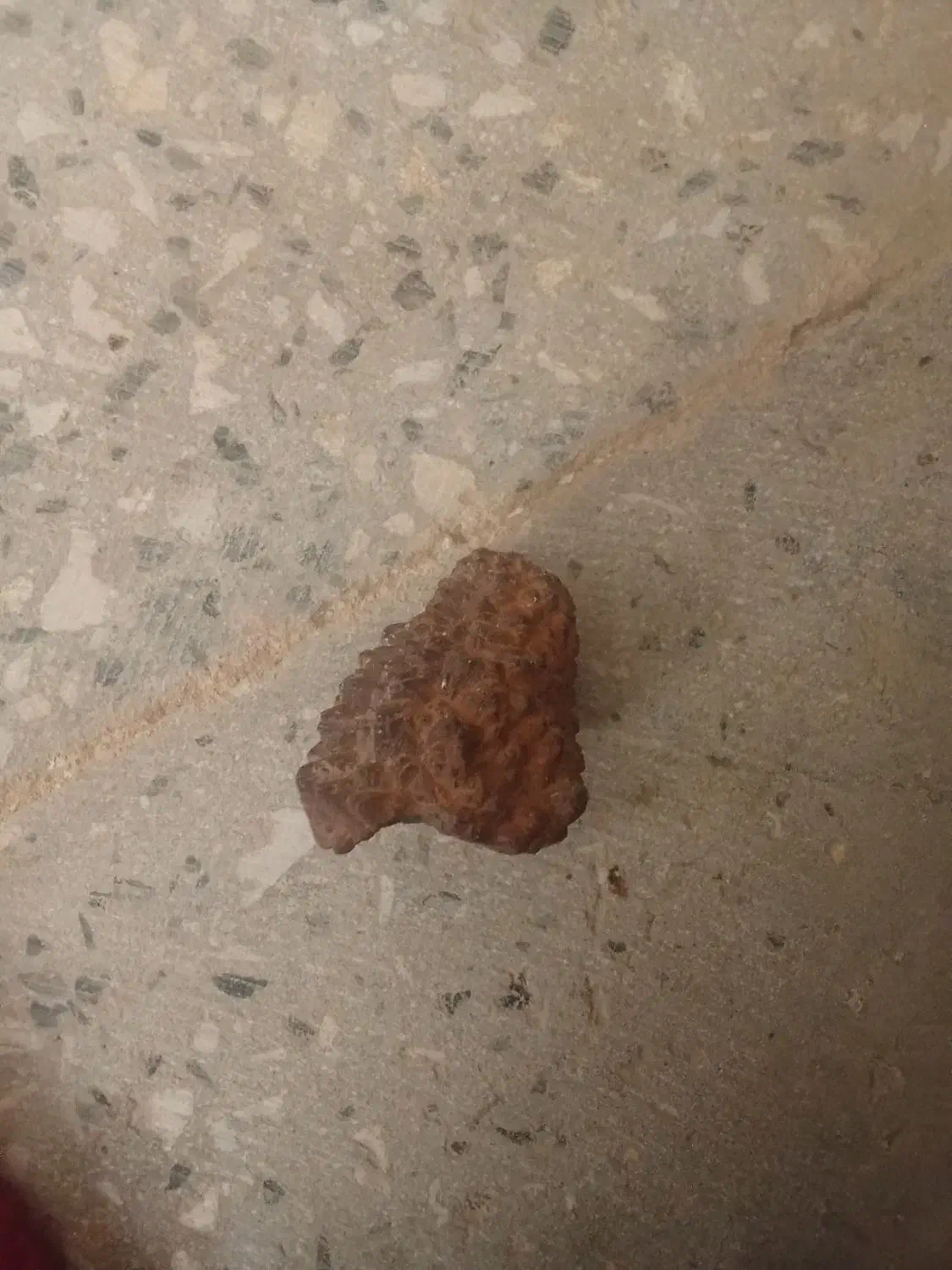 شهاب سنگ|کلکسیون اشیاء عتیقه|یاسوج, |دیوار