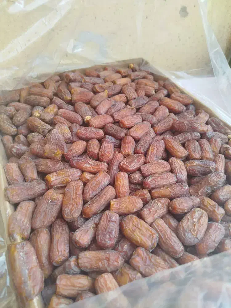 خرما پیارم هرمزگان|خوردنی و آشامیدنی|اهواز, کیانشهر|دیوار