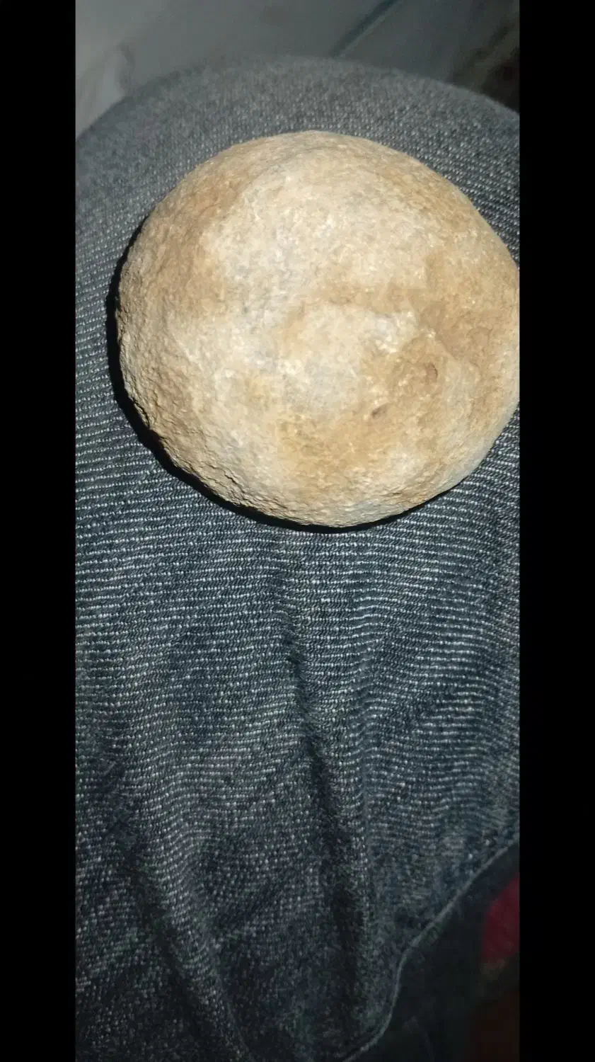 فروش فسیل نادر و زیبا|کلکسیون اشیاء عتیقه|داراب, |دیوار