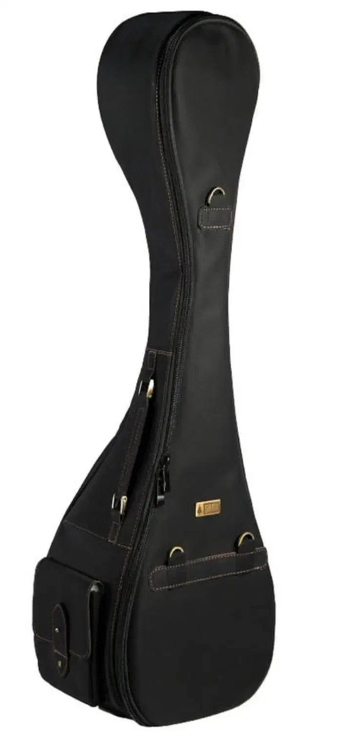 سافت کیس تار|سازهای سنتی|تهران, هلال احمر|دیوار