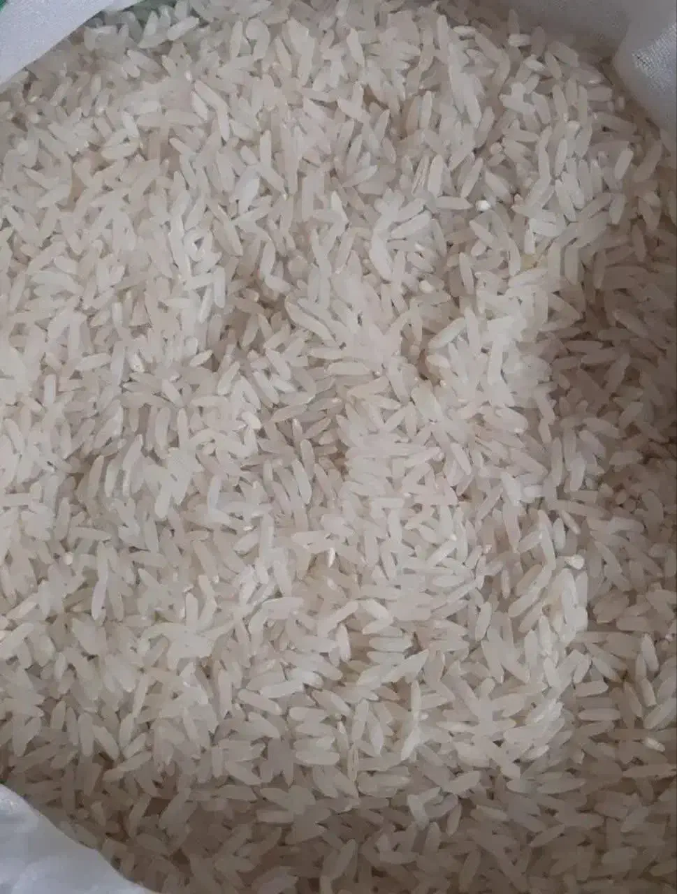 برنج فجر|خوردنی و آشامیدنی|قم, شاه سید علی|دیوار