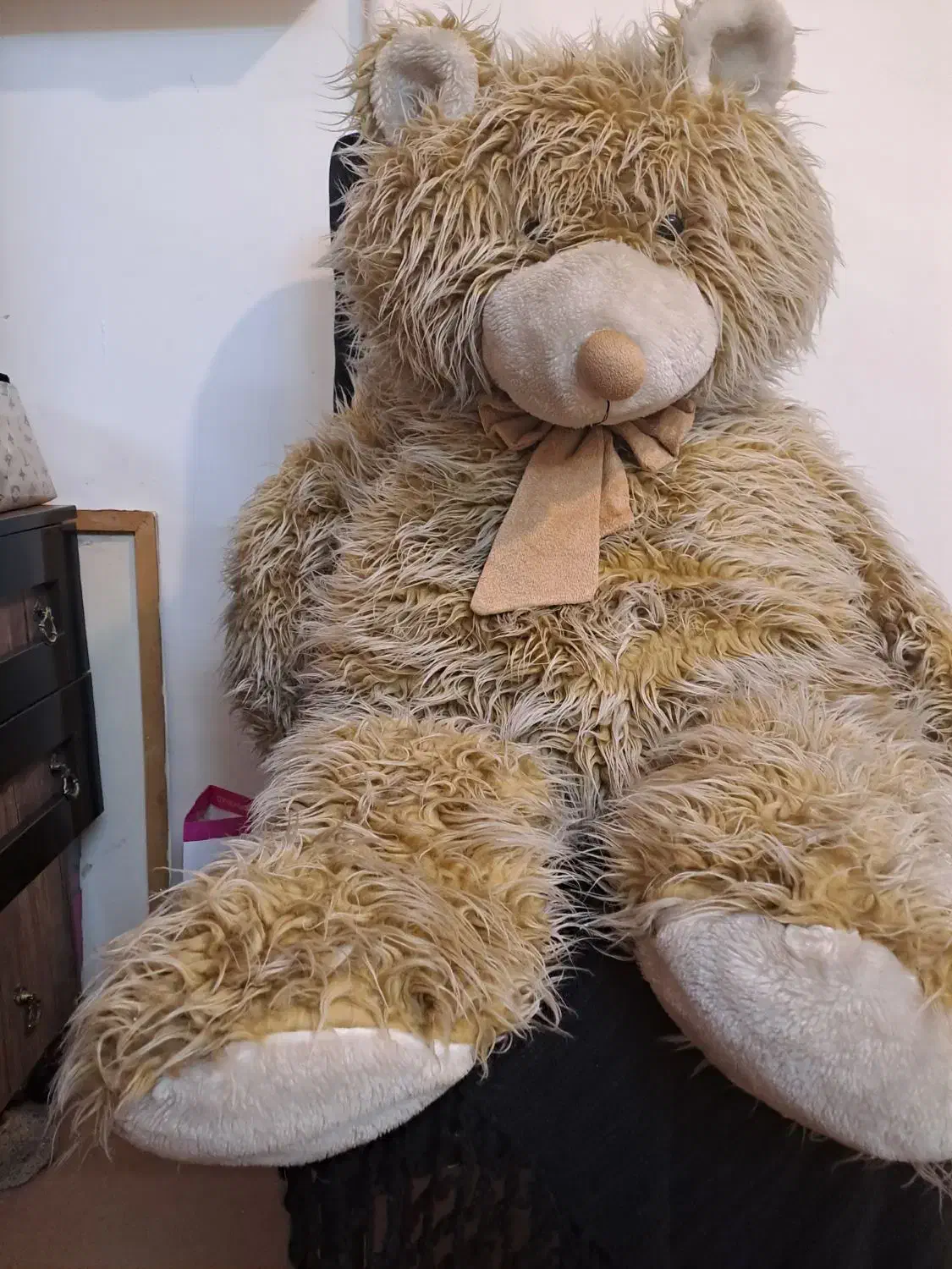 خرس تدی|اسباب‌‌بازی|مشهد, تربیت (صدف)|دیوار