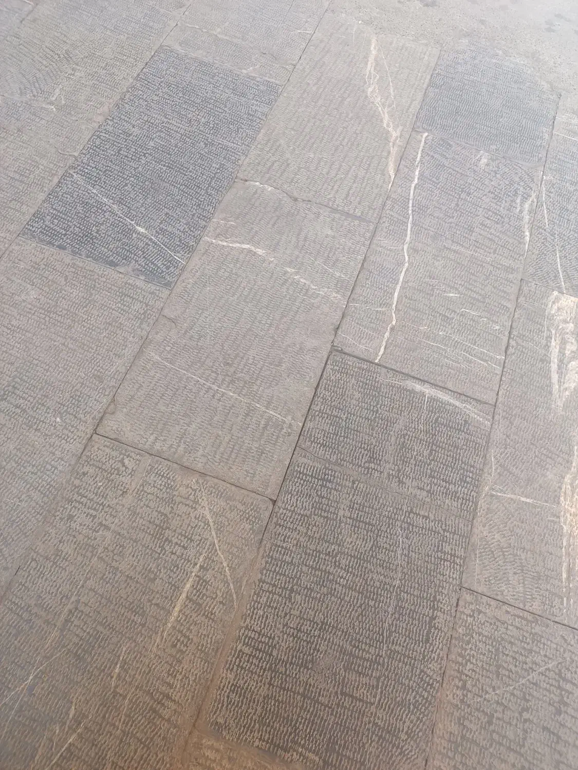 با یه ورود تا یک ملیون و پانصد جایزه دریافت کن|کارت هدیه و تخفیف|سبزوار, ابارش|دیوار