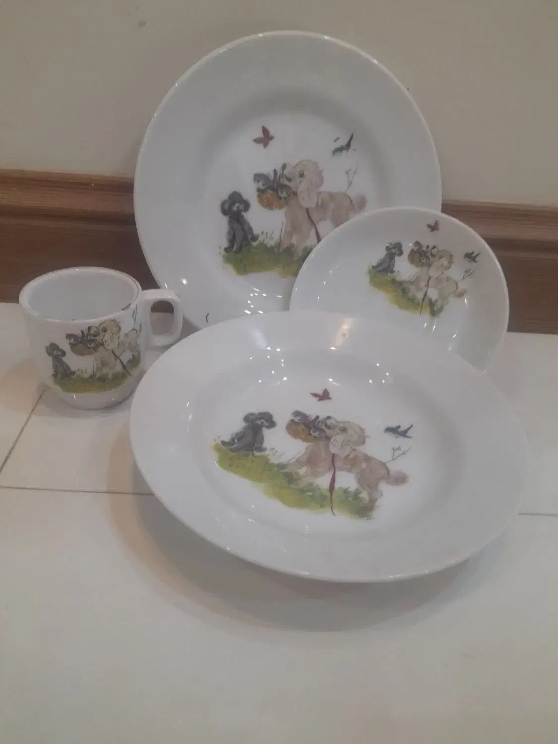 لوازم منزل|ظروف سرو و پذیرایی|تهران, شهرک هما|دیوار