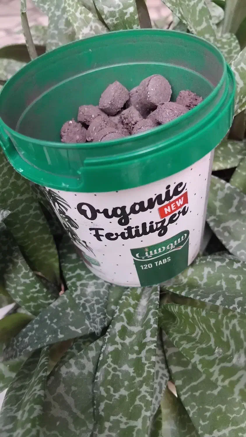 قرص کود گل و گیاه|گل و گیاه طبیعی|ساری, |دیوار